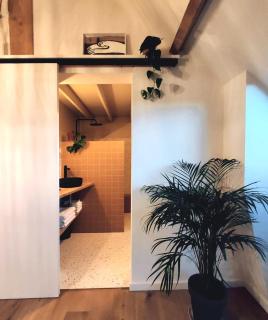 RUIMTEZICHT cosy appartement with sauna - Ostend - 8