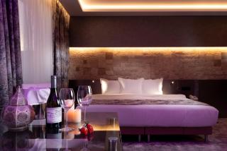 National Palace Wine & Spa Hotel - Sliven - 8