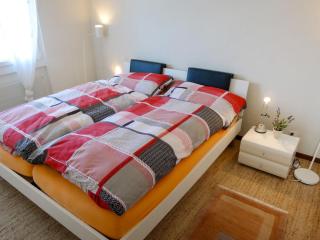 Apartment Margherita Bütler by Interhome - Rigi Kaltbad - 7