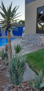 Aloe View Guesthouse - 3