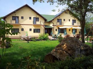 Pensiunea Lunca - Arad - 9