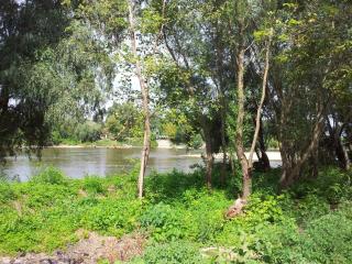 Pensiunea Lunca - Arad - 1