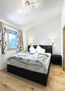 Center Penthouse Hollersbach Top 10 by Alpina-Holiday - 5