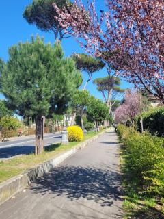 Villa Lia - Apartment in Villa with private garden and Pool - Firenze - 8
