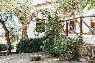 Casa Rural El Zumacal - Monesterio - 2