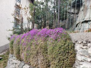 Ormea nel cuore - Ormea - 9
