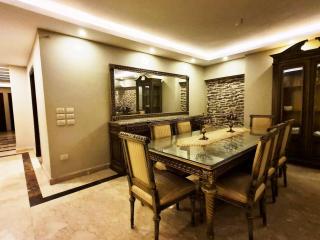 Spacious Executive Luxury Apartment with Balcony - Cairo - 2