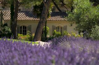Benvengudo - Les Baux-de-Provence - 6