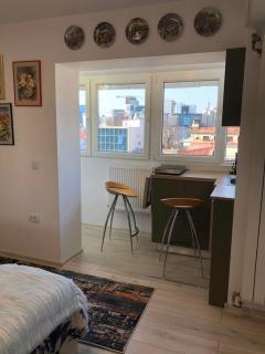 Brand New Downtown Studio - Bucharest - 1