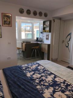 Brand New Downtown Studio - Bucharest - 2