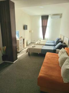 Stari Zaječar apartments - Zaječar - 9
