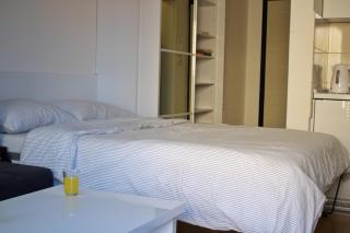 Studio Apartman Miljacka 13 Sarajevo - Sarajevo - 2
