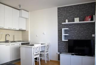 Studio Apartman Miljacka 13 Sarajevo - Sarajevo - 8