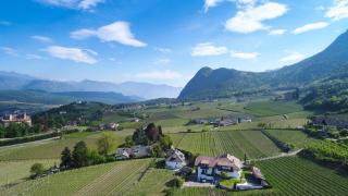 Strahlerhof - Appiano sulla Strada del Vino - 6