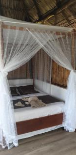 San Simian Lodge - La Laguna - 6