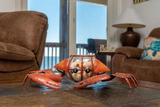 West Beach - Stay ON the sand! Gulf views galore, only steps to the shore! home - Dauphin Island - 5