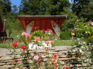 Sun House - Trjavna - 4