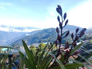 Dream Wood Homestay - Kalimpong - 8