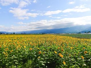 Meguminoyu - Furano - 6
