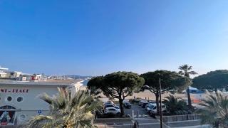 Les Dauphins - Sainte-Maxime - 0