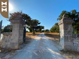 Masseria Mangiato 1557 - Alberobello - 0