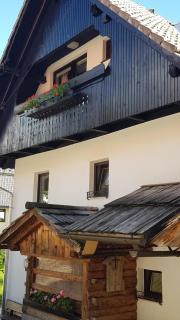 Hiša Planšar Bohinj accommodations - 6