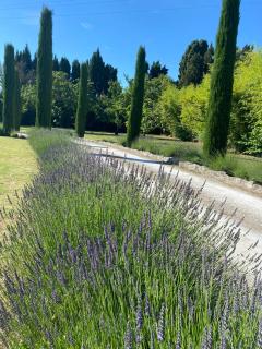 Mas des Bambous - Saint-Rémy-de-Provence - 5