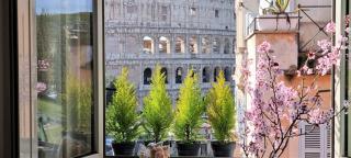 Rental in Rome Colosseo View Luxury - Roma - 9