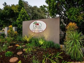 Three Olives Guesthouse - 8