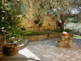 Studio south Pilion - 3