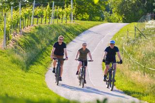 Apartments Vinska Trta - 1