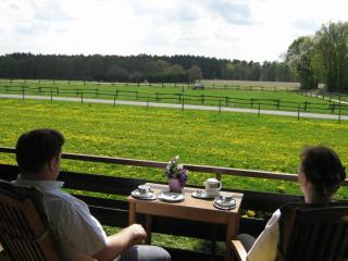 Land-gut-Hotel Landhaus Heidehof - Clenze - 1