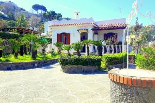 Holiday Apartments - Ischia - 9