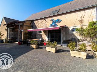 Gîte familial avec piscine, activités, animaux et grand jardin près d'Angers et Saumur - FR-1-622-26 - - 7