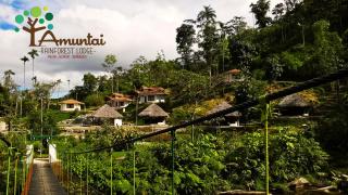 AMUNTAI RAINFOREST LODGE - 0
