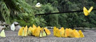 AMUNTAI RAINFOREST LODGE - 3
