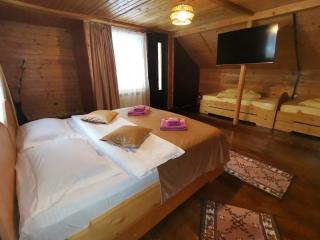 Casa EMY Busteni - Buşteni - 3