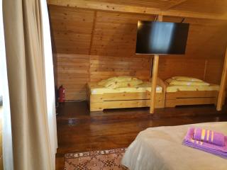 Casa EMY Busteni - Buşteni - 1
