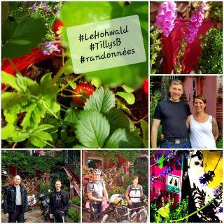Tilly's B&B and apartment house - Le Hohwald - 2