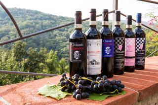 Borgo Livernano - Radda in Chianti - 4
