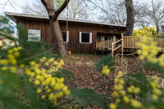 LA PETITE MAISON DU LAC - Biscarrosse - 6