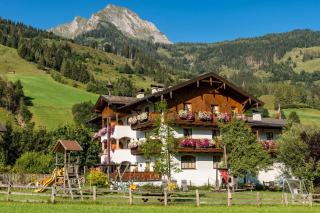 Bauernhofhotel "die Unterbergerin" - Zimmer mit Frühstück und Ferienwohnungen in Gastein mit GRATIS Thermeneintritt - Dorfgastein - 9