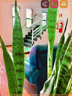 Anexo - Hospedagens Imigrantes - São Pedro - 3