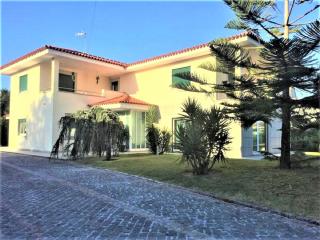 Anjos’home - Viana do Castelo - 0