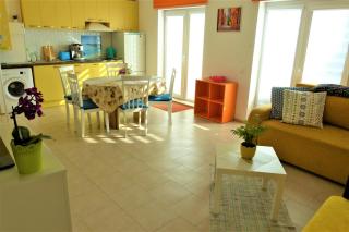 Geltoni apartamentai - Palanga - 1