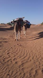 Camel Trekking Camp - 8