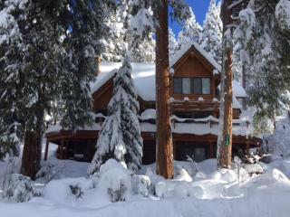 Tioga Logs - Yosemite West - 9