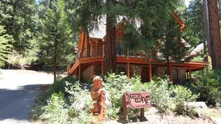 Tioga Logs - Yosemite West - 0
