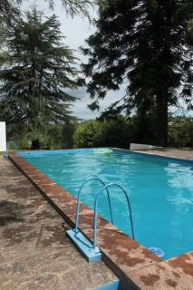 Chalet los pinos - 3