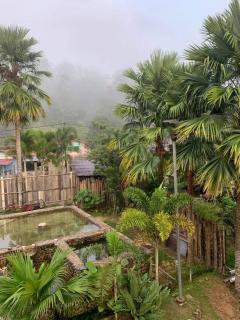 RIVERSIDE PALM INN SG LEMBING - Sungai Lembing - 4